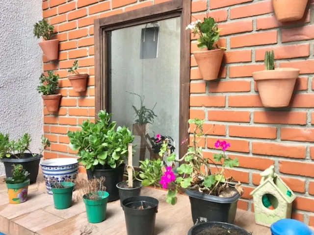 Imagem 11: Casa Térrea com Piscina, Jardim e Edícula