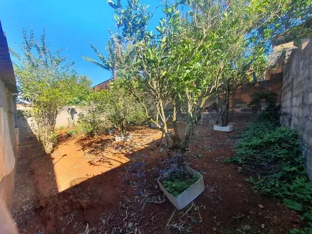 Imagem 2: Vendo Lote com Casa Simples Construída