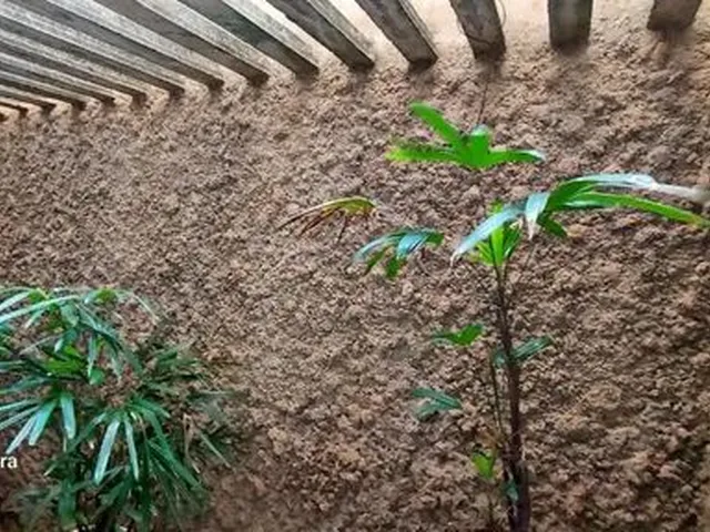 Imagem 6: Casa para Aluguel no Barro Duro
