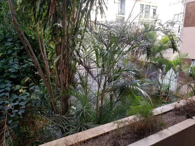 Imagem 13: Casa 04 Quartos - Anchieta