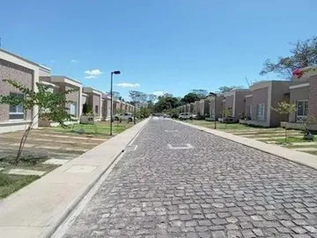 Imagem 16: Cond. Singular - Bairro: Socopo