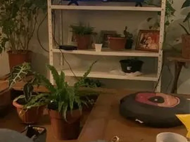 Imagem: Procuro Menina pra Dividir Apartamento