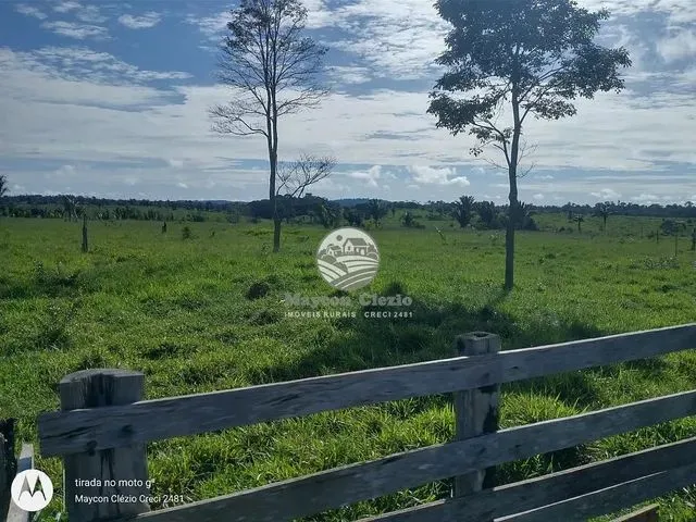 Imagem: Venda - Sítio - Machadinho D Amp Apos Oeste
