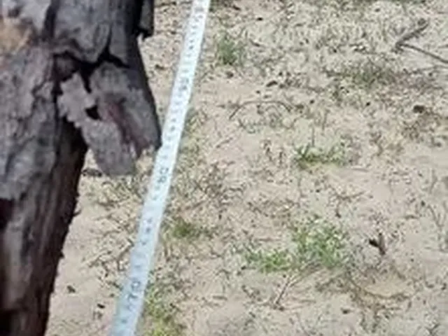 Imagem: Terreno pra Venda Prainha do Canto Verde
