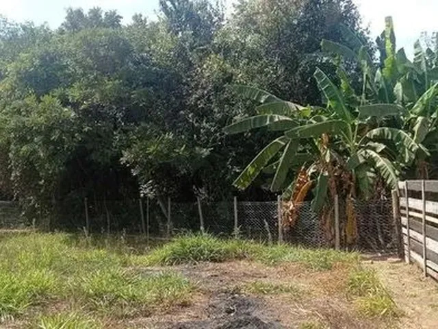 Imagem 6: Crédito Rural para de Compra de Chácara para Investir!!!