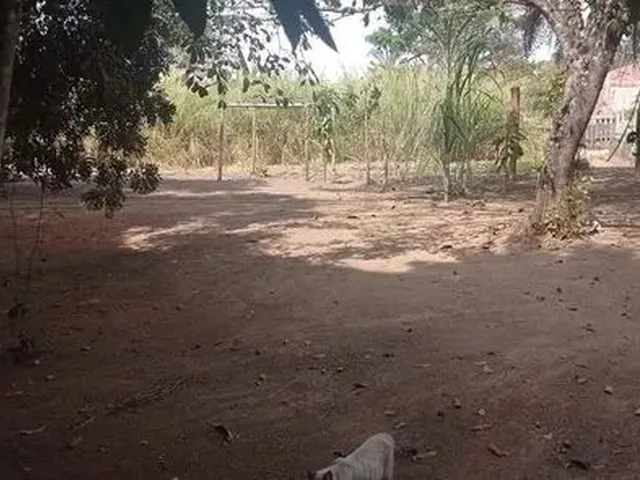 Imagem 2: Crédito Rural para de Compra de Chácara para Investir!!!