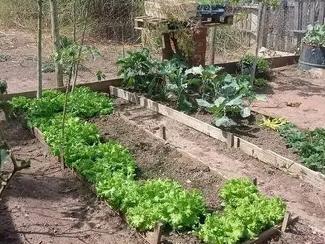 Imagem 4: Crédito Rural para de Compra de Chácara para Investir!!!