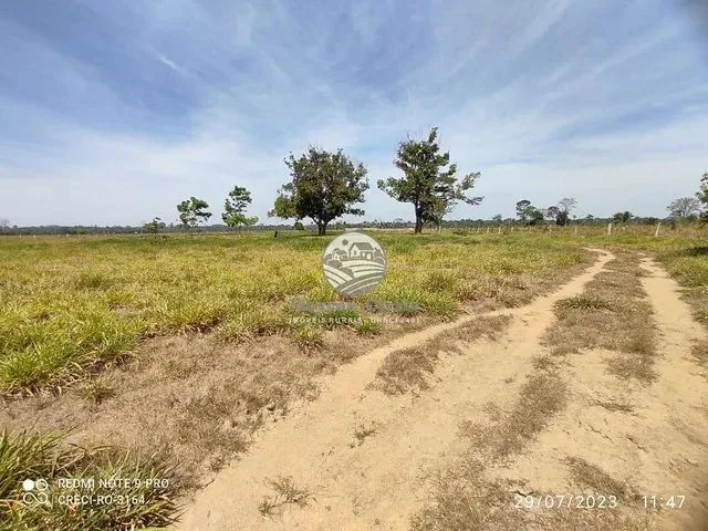 Imagem: Venda - Sítio - Alto Paraíso - 25 Alqueires