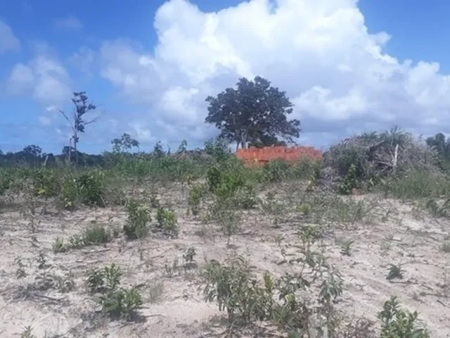 Imagem: Vendo Lotes em Arembepe (Ii