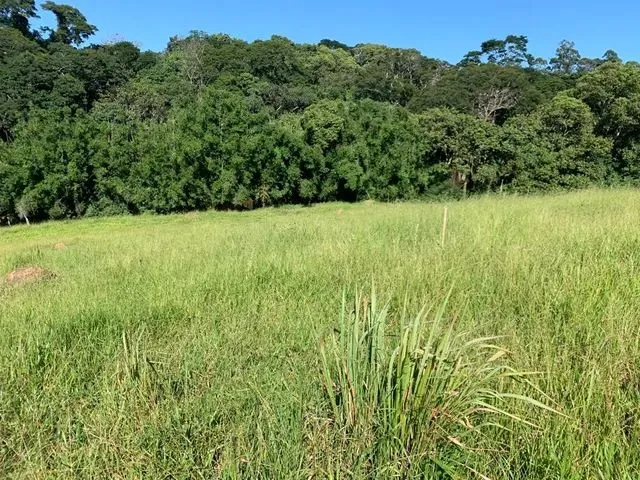 Imagem: Lf- Terreno com Metragem de 600 Metros