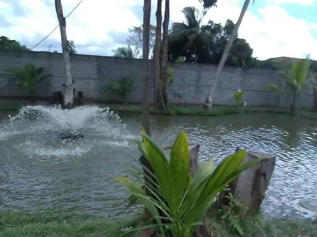 Imagem 13: Vendo Sítio com Criatório de Peixes e Camarão