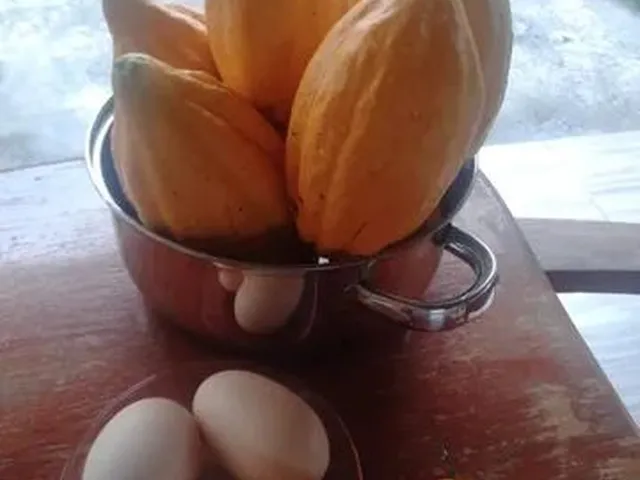 Imagem 3: Vendo Sítio com Criatório de Peixes e Camarão