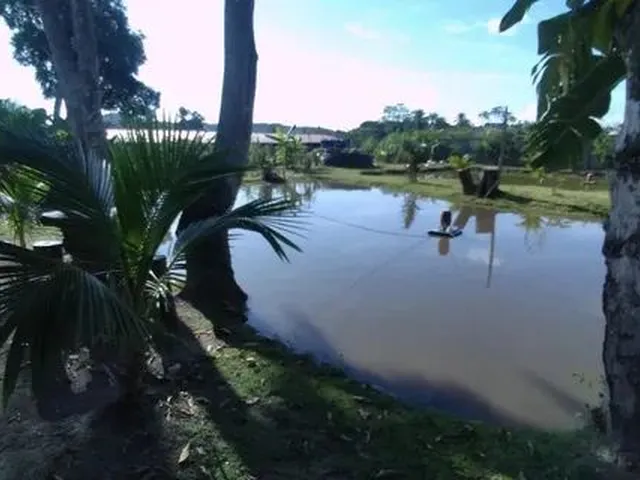Imagem 7: Vendo Sítio com Criatório de Peixes e Camarão