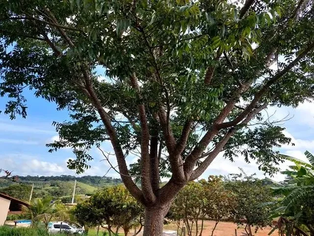 Imagem 4: Casa no Condomínio Encanto do Lago I