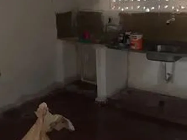 Imagem 9: Vende-Se Casa no Centro de Monte Alegre