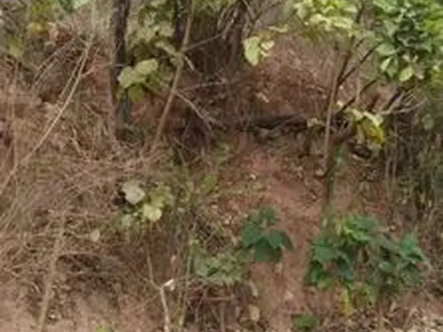 Imagem 6: Lote Rua Hebreus Canaa Ipatinga