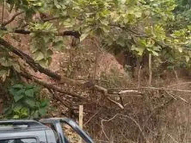 Imagem 2: Lote Rua Hebreus Canaa Ipatinga