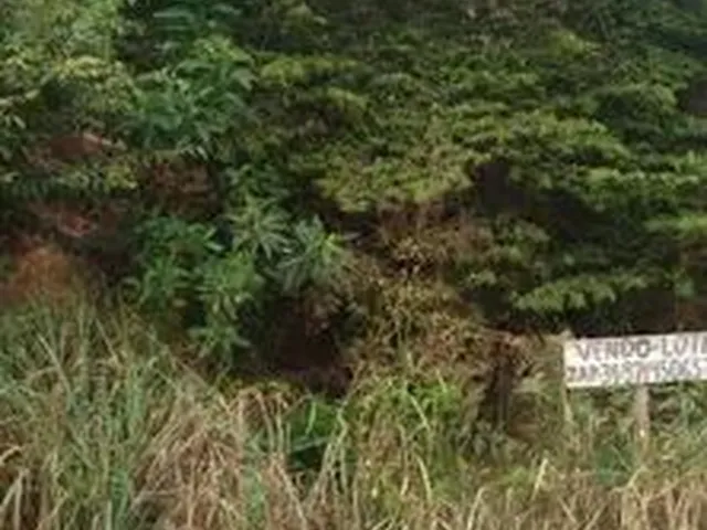 Imagem 3: Lote Rua Hebreus Canaa Ipatinga