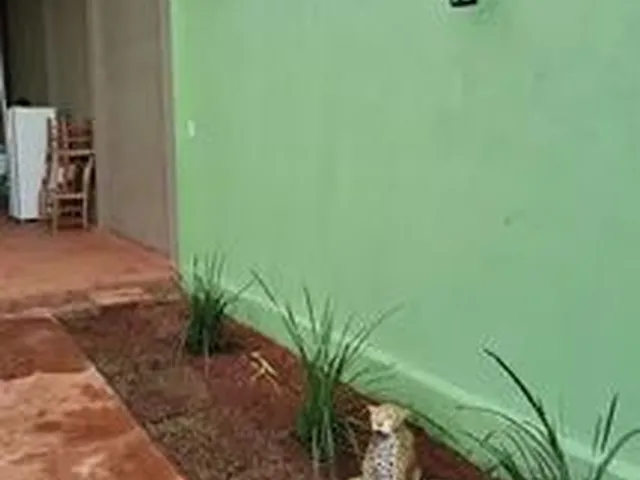 Imagem 11: Espaço para Festas e Eventos