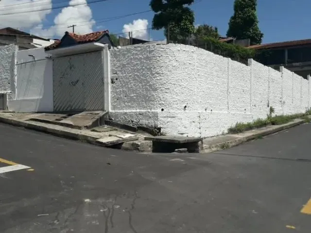 Imagem: Canil Pronto no Tarumã