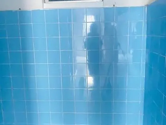 Imagem 6: Casa para Alugar