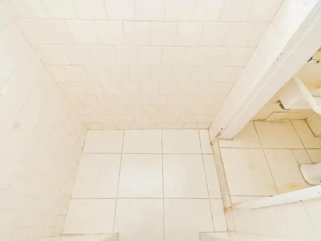Imagem 6: Apartamento 2 Quartos para Aluguel Pelotas
