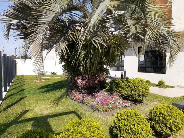 Imagem 3: Apartamentos - Locação - Centro - Cod. 248