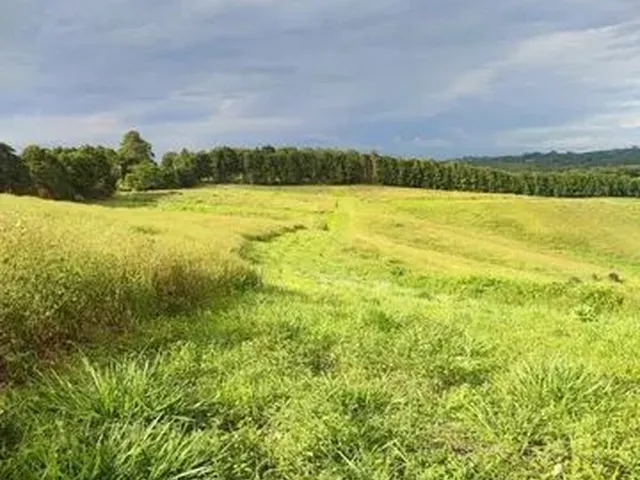 Imagem: Vende-Se Terreno em Cotia-Sp