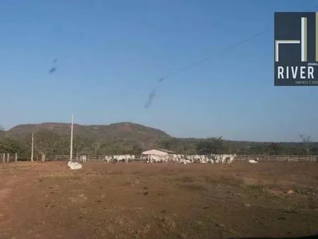 Imagem: Fazenda-Pecuária-À Venda, 2.750 Hectares
