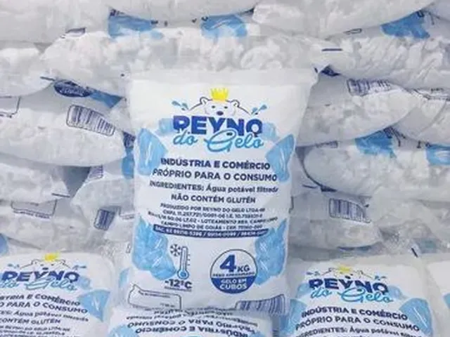 Imagem 4: Vendo Fábrica de Gelo Completa