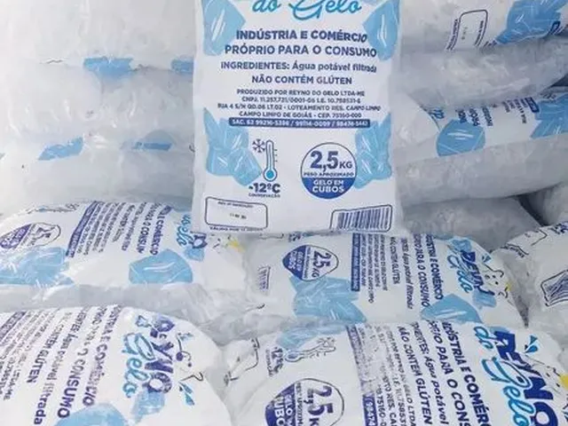 Imagem 8: Vendo Fábrica de Gelo Completa