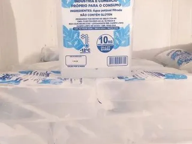 Imagem 6: Vendo Fábrica de Gelo Completa