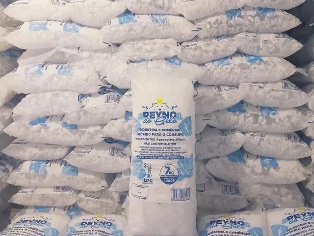 Imagem 5: Vendo Fábrica de Gelo Completa