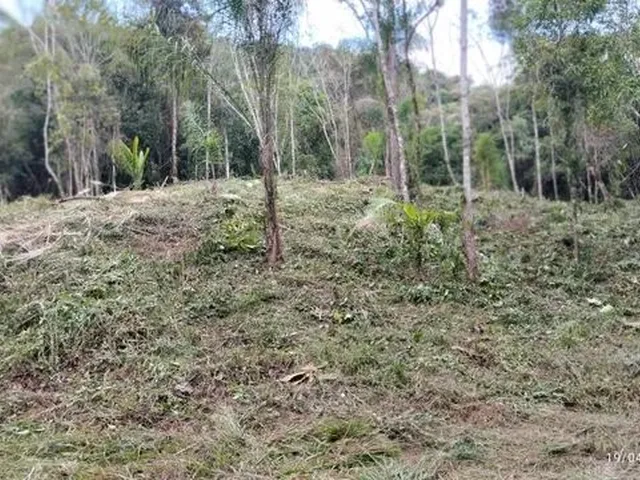 Imagem: Excelente Terreno para Sítio Ou Investimento