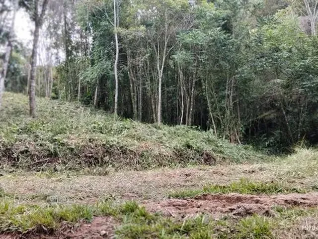 Imagem 9: Excelente Terreno para Sítio Ou Investimento