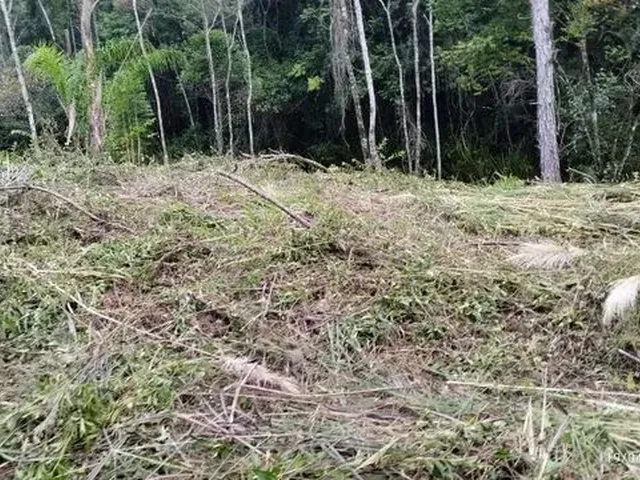 Imagem 6: Excelente Terreno para Sítio Ou Investimento