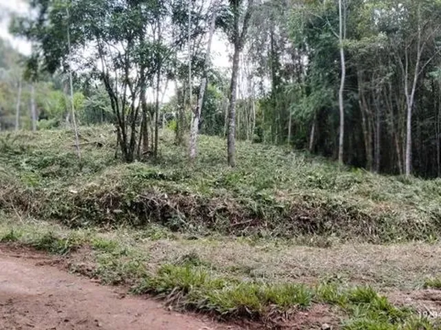 Imagem 4: Excelente Terreno para Sítio Ou Investimento