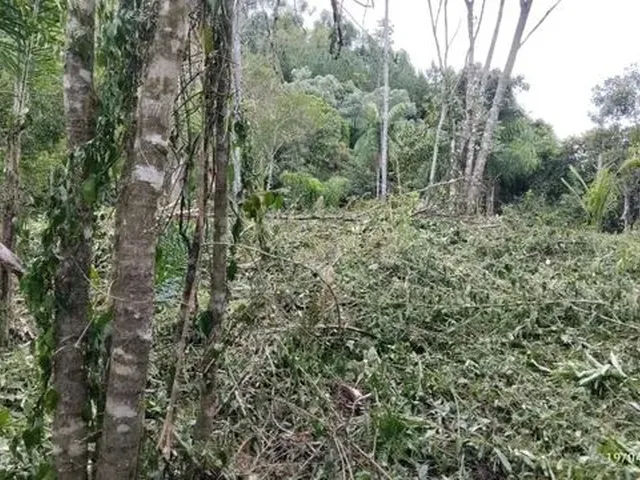 Imagem 3: Excelente Terreno para Sítio Ou Investimento