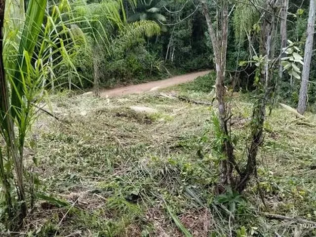 Imagem 8: Excelente Terreno para Sítio Ou Investimento