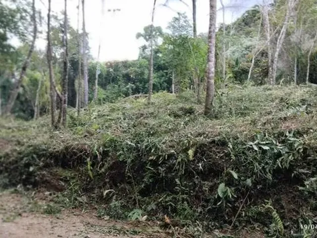 Imagem 2: Excelente Terreno para Sítio Ou Investimento