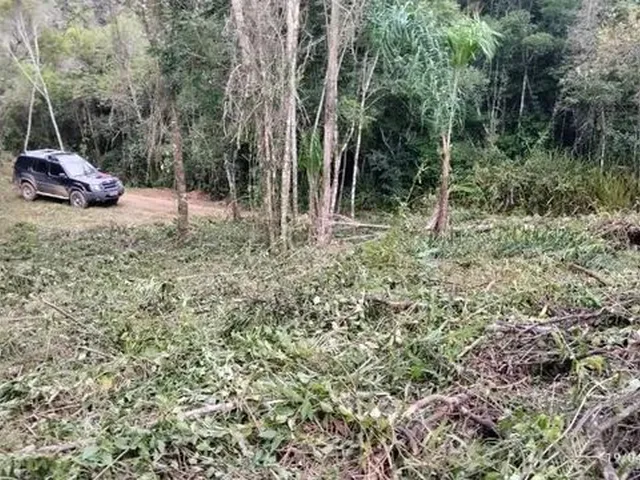 Imagem 10: Excelente Terreno para Sítio Ou Investimento