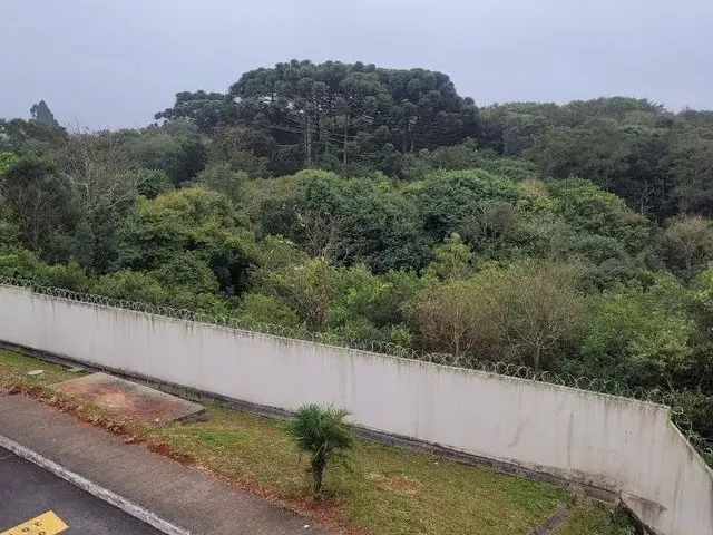 Imagem 6: Apto em Araucaria, Vende/Troca