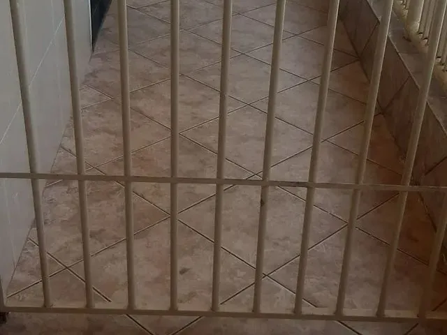 Imagem 6: Casa de 3 Quartos