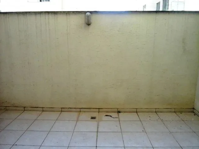 Imagem 12: Viçosa - Apartamento Padrão - Ramos