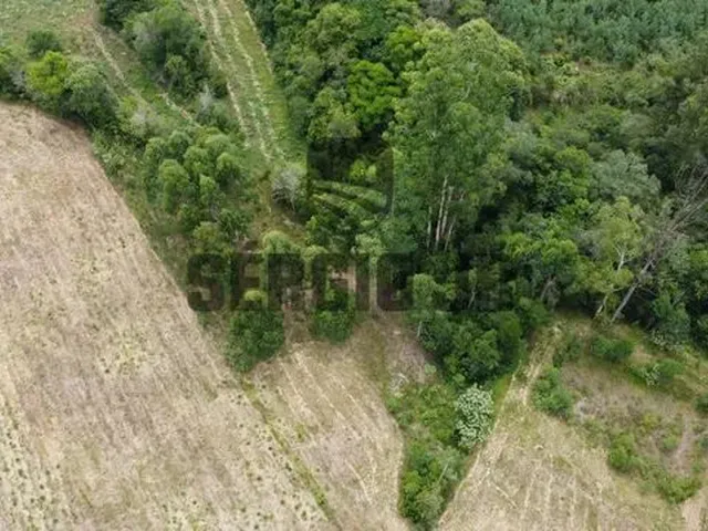 Imagem 15: Área de Terra com 1,3H em Triunfo