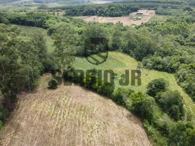 Imagem 8: Área de Terra com 1,3H em Triunfo