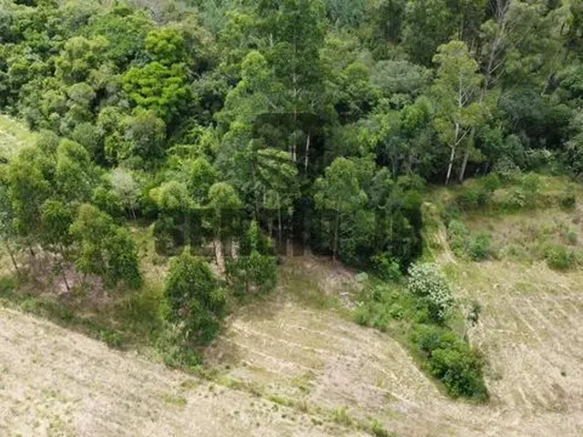 Imagem 11: Área de Terra com 1,3H em Triunfo