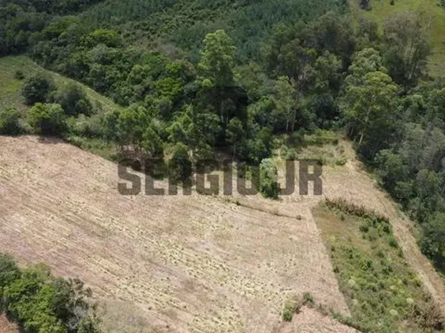 Imagem 16: Área de Terra com 1,3H em Triunfo