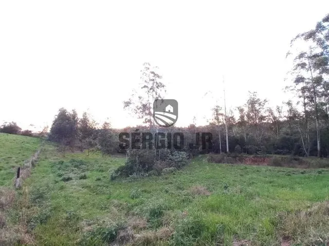 Imagem 9: Área de Terra com 1,3H em Triunfo
