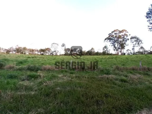 Imagem 6: Área de Terra com 1,3H em Triunfo
